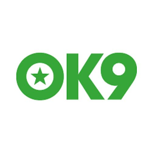 Logo ok93